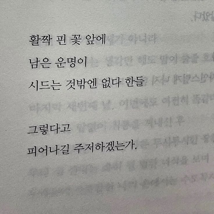 akf_fls's tweet photo. https://t.co/rWj2jmWv1e