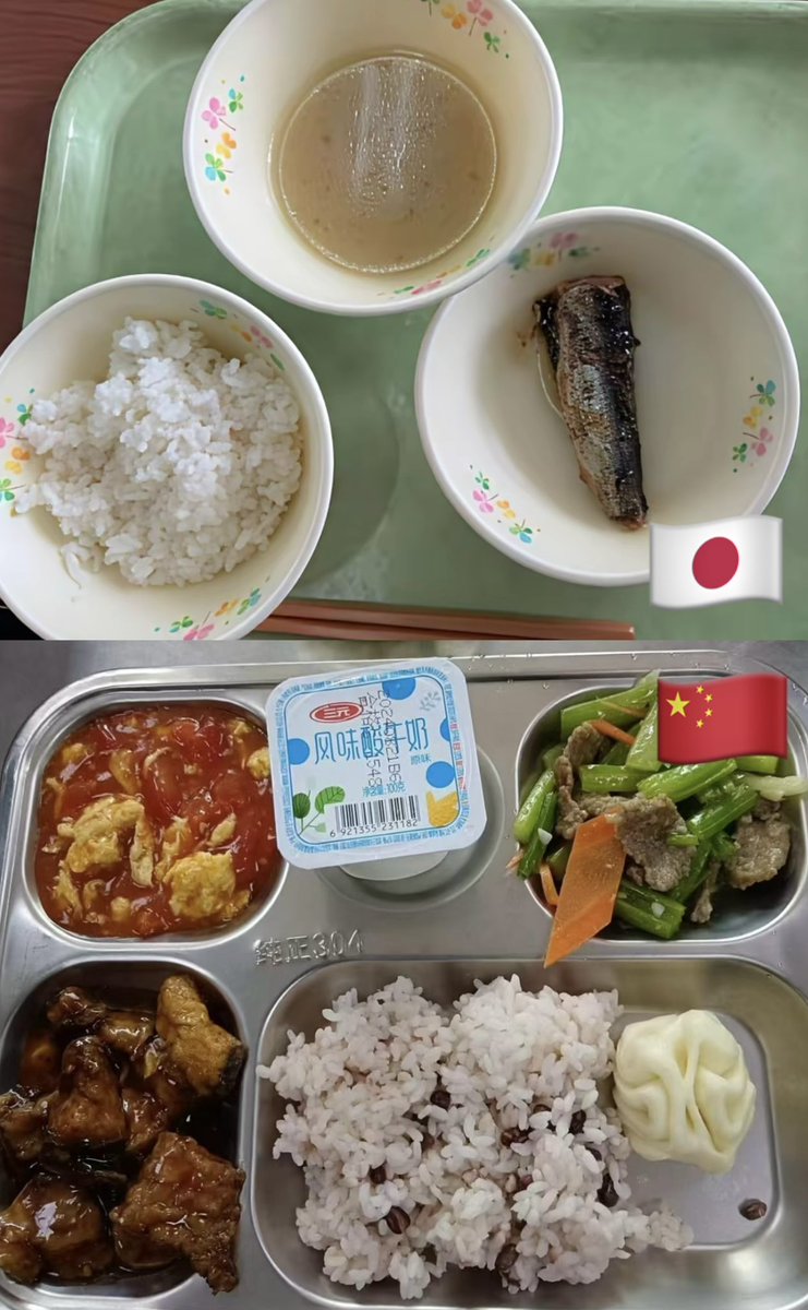 uncleTomat0's tweet photo. 🇯🇵日本学生餐 vs 🇨🇳中国学生餐

Japanese school food VS Chinese school food https://t.co/lNJ6gCquXH