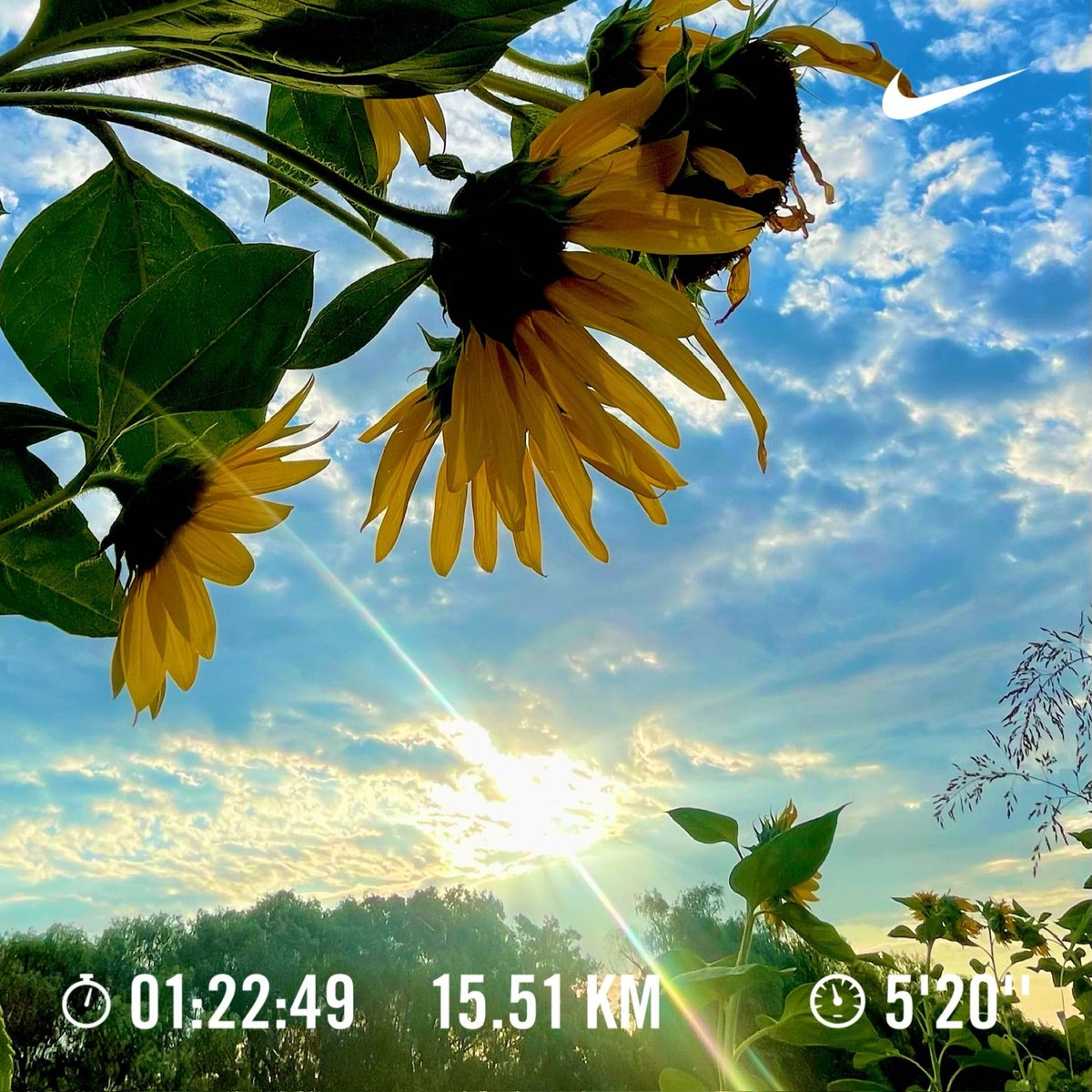 gts_GUTS's tweet photo. 晴れきらない夏空朝ラン。
15.51km 1:22:49〜Rope(重） 3.825 0:35:48+ケトルベル2セット。
晴れきらなかったな。結構トンボが飛んでた。
秋の気配じゃなかろーに。蝉は増えてきたな。
バッタはあまり見んけど。
#縄跳び
#ランニング https://t.co/hT4JnvzO4y