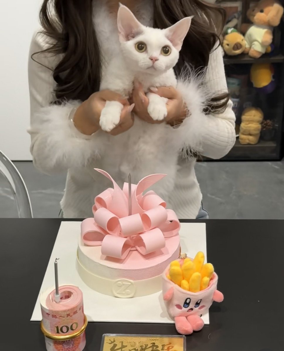 CCs_Girl's tweet photo. 小猫生日 https://t.co/4RN8L0fscS