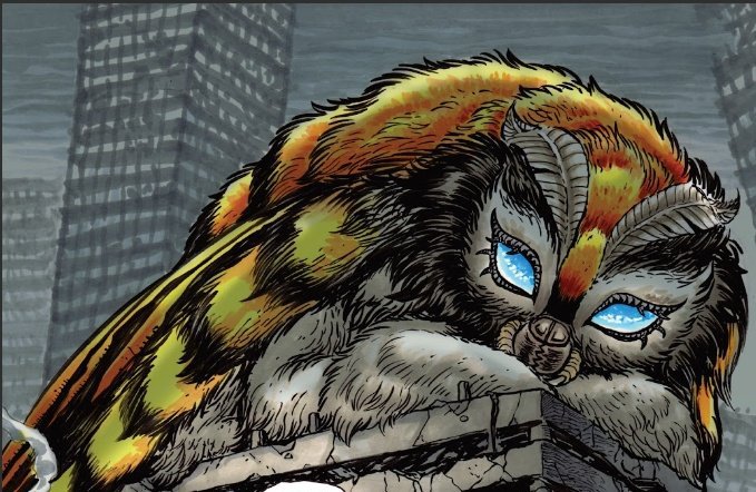 DailyMothra tweet picture
