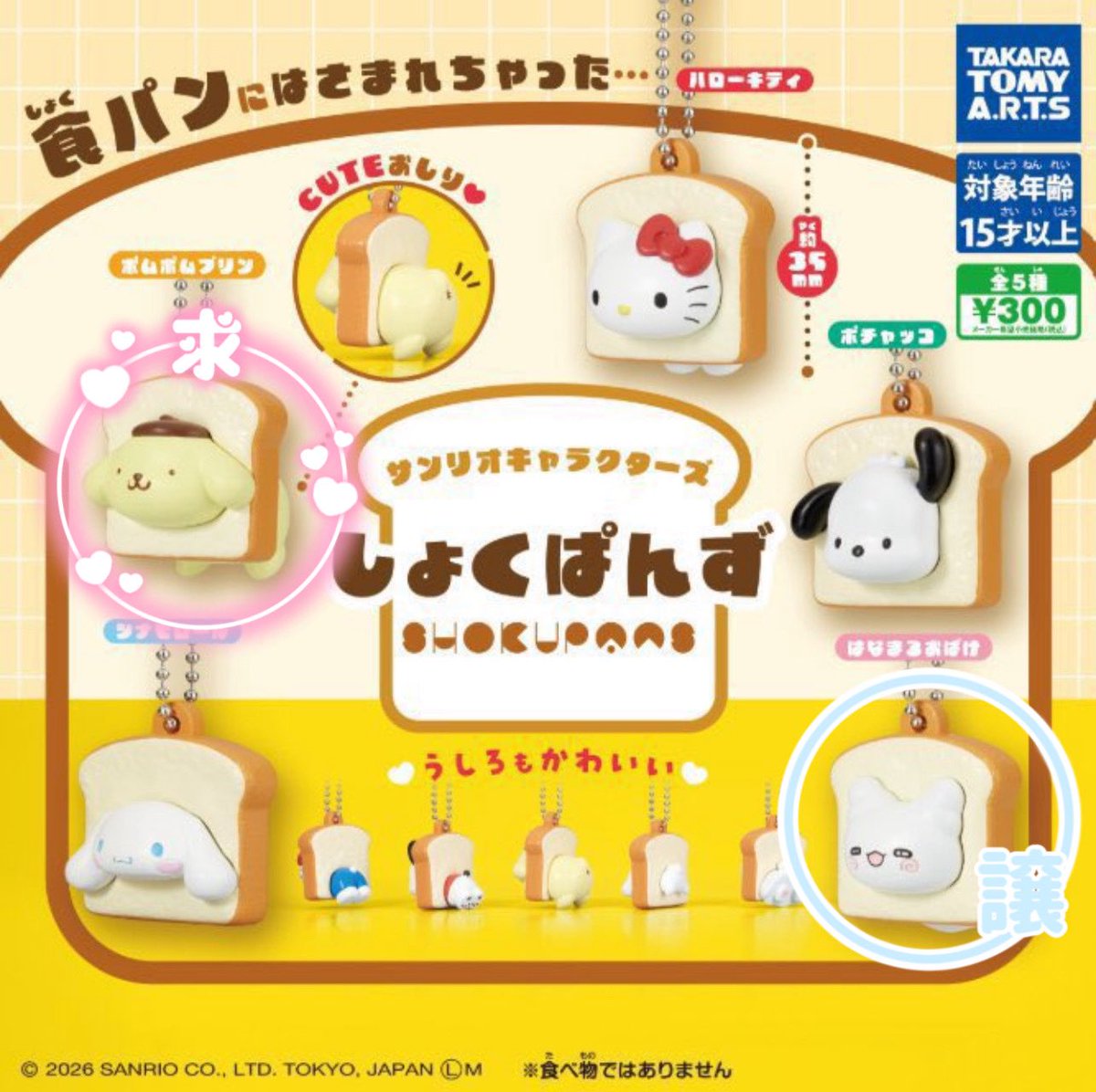 li_mme_'s tweet photo. 【交換】サンリオ しょくぱんず ガチャ 食パン

譲:はなまるおばけ

求:ポムポムプリン

郵送交換希望です🌼
検索からでもお気軽にお声掛けください🤍 https://t.co/pDonTpcbla