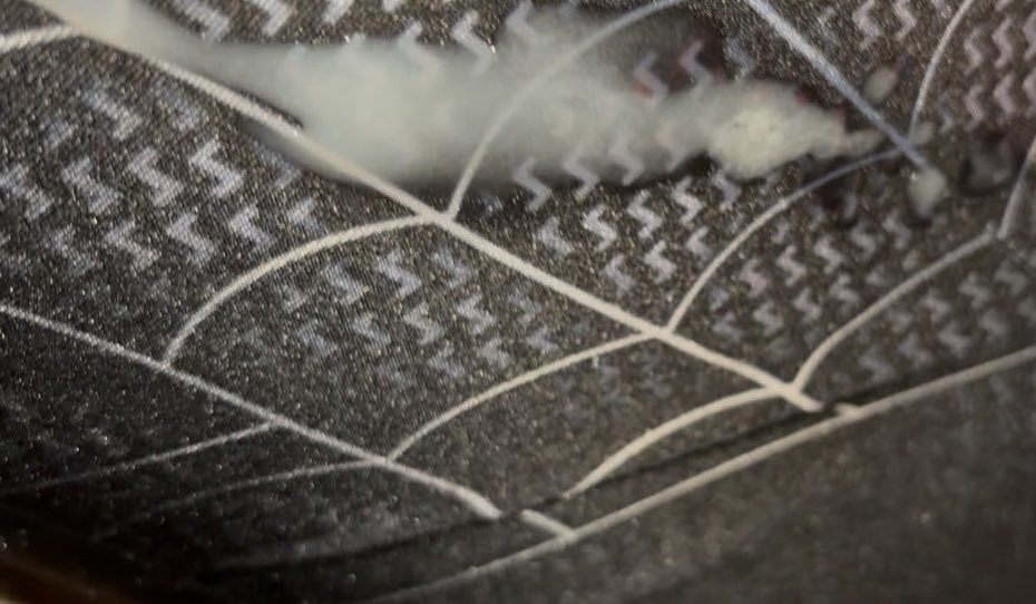 acl6920's tweet photo. 🐍了🥵🥵🥵 https://t.co/mRqOAcpdjb