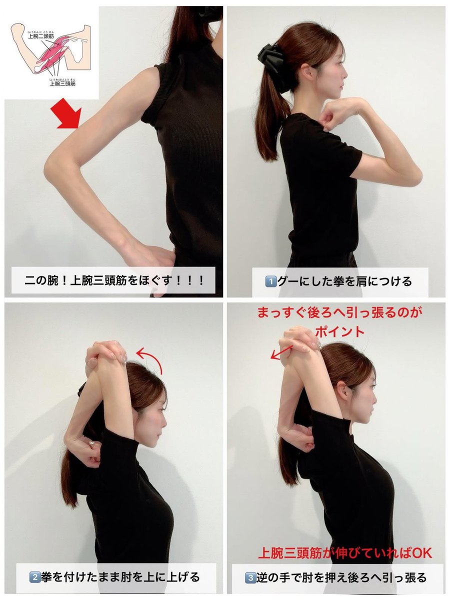 emiry_oinari's tweet photo. 二の腕痩せないわ…って人へ。
このストレッチすると、代謝が上がって猫背巻き肩まで緩和されるで。

肩甲骨の動きもスムーズになって「褐色脂肪細胞」っていう肩甲骨周りにある脂肪を燃やす細胞も活性化かするからダイエット効果も上がって痩せる。 https://t.co/MRLcQ2jNrU
