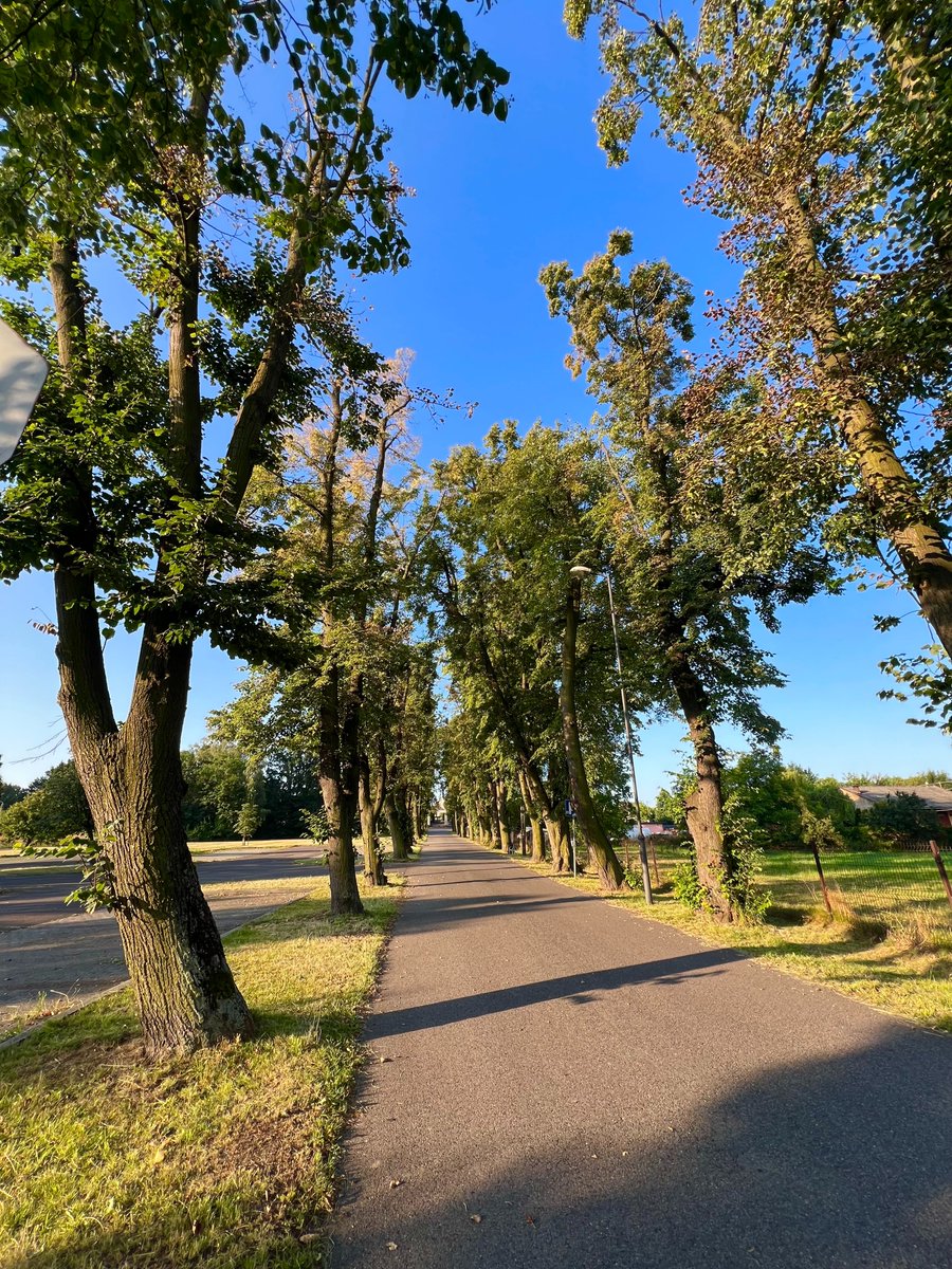 tomasznicieja's tweet photo. Dzień dobry,
✅poranne bieganie
✅poranna kawa (mrożona)
Pobudka po 5:30 i trochę pobiegane po mieście - fajnie, dość ciepło, cisza, mały ruch, mało ludzi, warunki świetne🙂
Miłego dnia dla Was😁
#Garmin #Fenix7
#run #running #bieganie #walking
#zabieganyprogramista https://t.co/azUTl27cDh