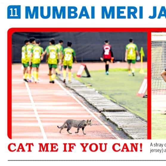 satejss's tweet photo. Cat me if you can...
A #straycat coolly strolled onto the ground at Wings Sports Centre in Bandra, disrupting a game between St Mary's ICSE, Mazagaon and Holy Family A Andheri during the MSSA U-16 Boys Div-I-A #interschool #footballmatch on 27/07/2026.
#middayindia #satejshinde https://t.co/PD2EEqXlaW