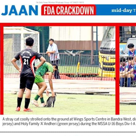 satejss's tweet photo. Cat me if you can...
A #straycat coolly strolled onto the ground at Wings Sports Centre in Bandra, disrupting a game between St Mary's ICSE, Mazagaon and Holy Family A Andheri during the MSSA U-16 Boys Div-I-A #interschool #footballmatch on 27/07/2026.
#middayindia #satejshinde https://t.co/PD2EEqXlaW