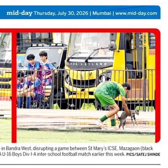 satejss's tweet photo. Cat me if you can...
A #straycat coolly strolled onto the ground at Wings Sports Centre in Bandra, disrupting a game between St Mary's ICSE, Mazagaon and Holy Family A Andheri during the MSSA U-16 Boys Div-I-A #interschool #footballmatch on 27/07/2026.
#middayindia #satejshinde https://t.co/PD2EEqXlaW