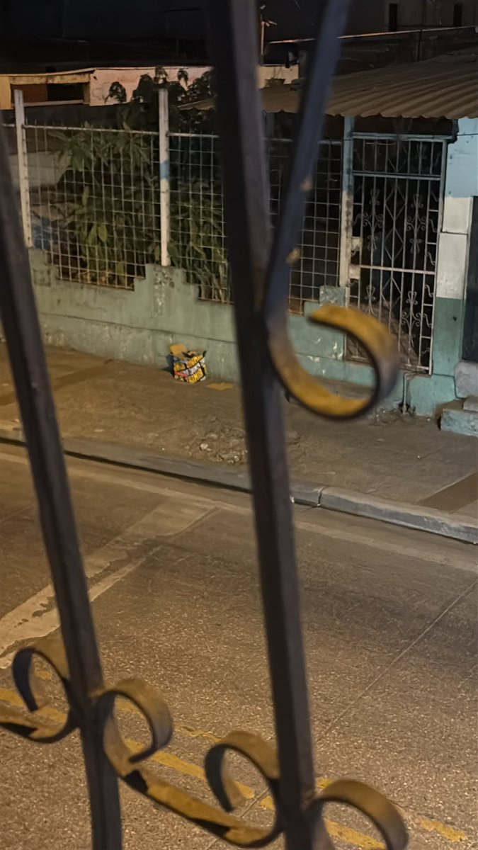 joha_jcrt's tweet photo. Hola amikos, requiero de su ayuda para poder encontrarles un hogar a estos gatitos, los dejaron aquí botados 😔😔😔 tengo hasta mañana para encontrarles un hogar, me puedo quedar con uno pero no quiero dejar a los otros en la calle 😭 https://t.co/0rrurddUwP