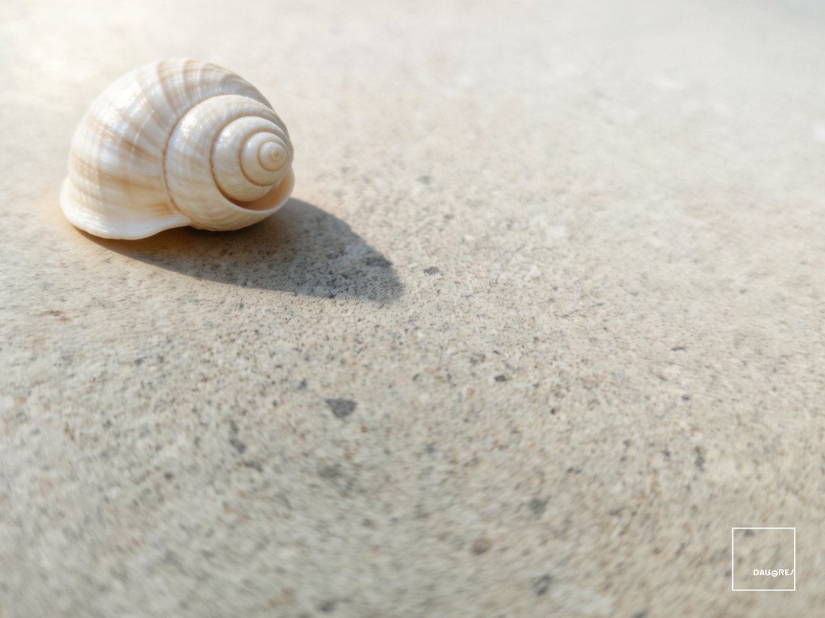 DaugresINT's tweet photo. 𝗡𝗲𝘄𝘀 • 𝗙𝗢𝗦𝗦𝗜𝗟 𝗖𝗵𝗮𝗿𝗸
▍Like the microscopic shells of foraminifera that rained down on ancient seabeds for millions of years.
#porcelaintiles
#ceramictiles
#livingroomdecor
#commercialdesign
#interiordesigner
#architect https://t.co/xlISaujGud
