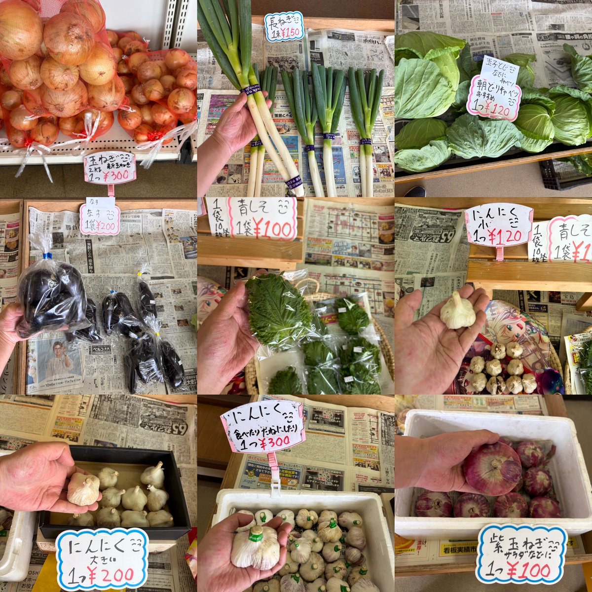 ryo4503's tweet photo. ゆうゆう野菜直売所営業中です
＼( ´･ω･`)┐🥒🧄🥦🍅
写真は正午現在販売している
野菜です
お待ちしてます
#湧別
#野菜
#切り花
朝採り
#きゅうり
#ミニトマト
シソジュースに
#赤紫蘇
#紫玉ねぎ
#長葱
#にんにく
#キャベツ https://t.co/V4KJ6o3Vdn