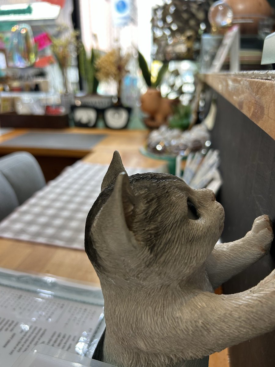 tokiwaparl43438's tweet photo. 7月30日㈭
#トキワパーラー
おやすみです。✧。・゚
8月お盆明けまでの長期休暇になりますが
よろしくお願いします🙇♀️
#Boxgallery #高松市の雑貨屋さん #お土産 #プレゼント https://t.co/Y57jnIUVAd