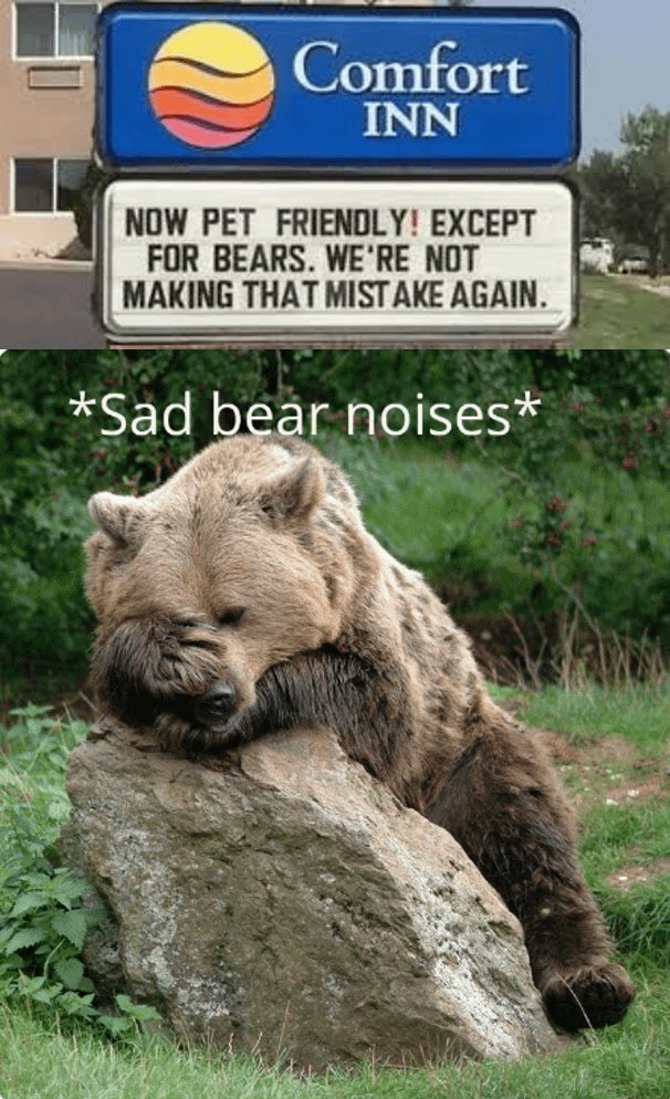 NationalDazeTag's tweet photo. Welcome to National Daze! Today is National Get Gnarly Day, so let's get nuts, OK? It would be pretty gnarly if I #WouldWrestleABear tonight. Would you wrestle a bear? Tell @BellaLaRue1 and @SilipigniMario your wild &amp; grizzly thoughts, and let's have some fun! https://t.co/sIjAUlAWU4