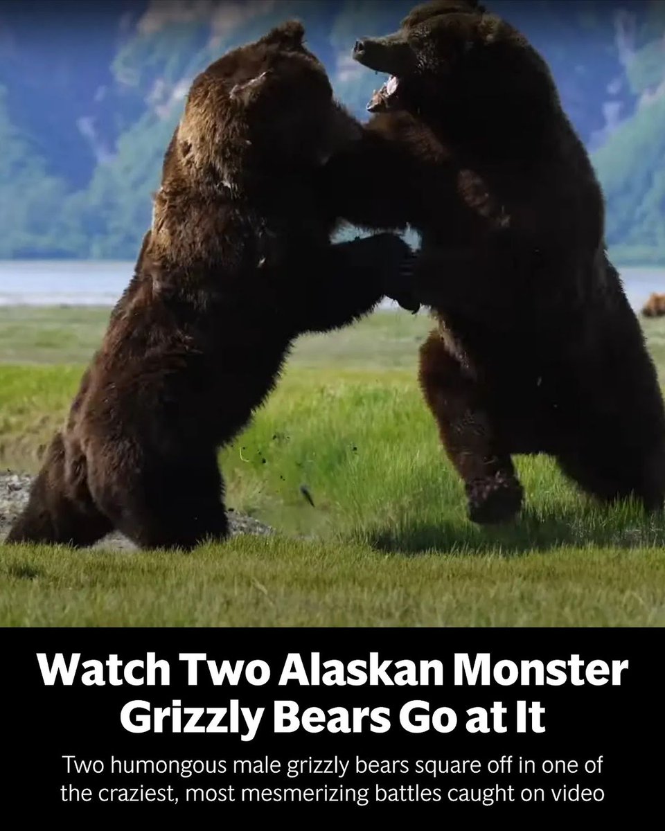 outsidemagazine's tweet photo. https://t.co/WOmo9uZxFG https://t.co/DCkW8TYZHL