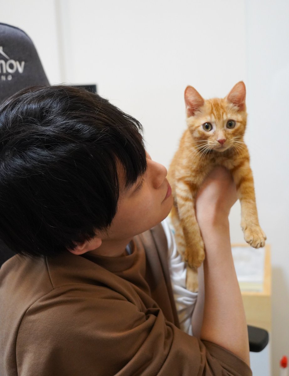 ryogomatsumaru's tweet photo. リドくんが家に来たときの写真、つい見返しちゃう https://t.co/RAQMG0b73Q