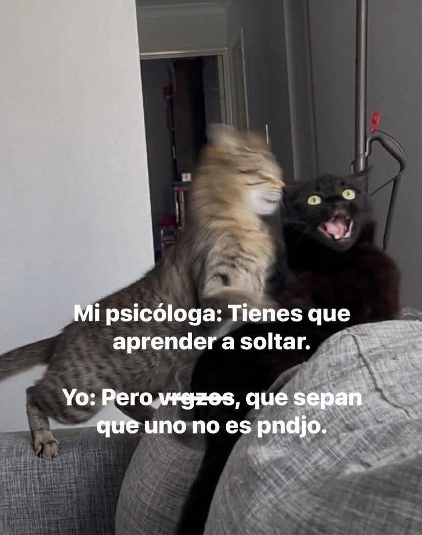 Animalesaprieto's tweet photo. https://t.co/S2xw3R8LrX
