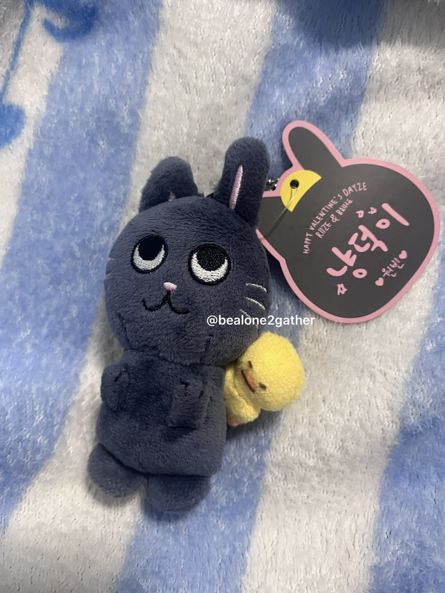 bealone2gather's tweet photo. พร้อมส่ง / wts 

โทนยังด๊อก 10 cm รุ่นแรก (มีป้าย) 

990 ฿ free shipping 

สนใจ / สอบถามเพิ่มเติม dm

#ตลาดนัดriize #ตลาดนัดน้องข้าว https://t.co/7x2BUKvwtw