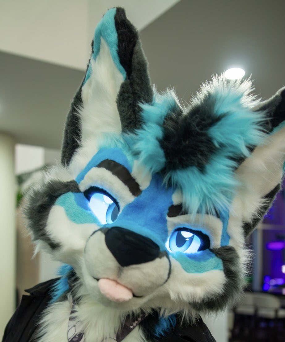 Floofius's tweet photo. Hiiiiiiiii ✨ https://t.co/8On1FC5SEp