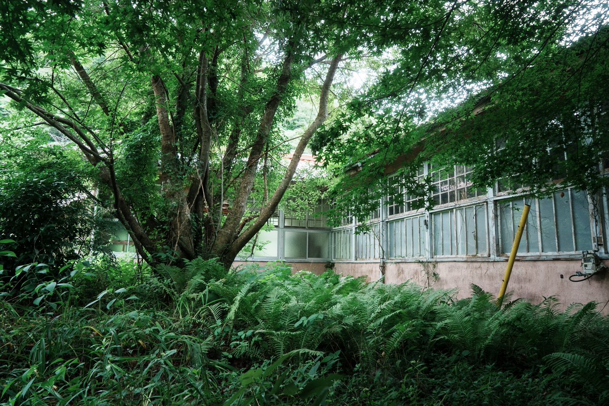 _urbex_record's tweet photo. ダメなときもある https://t.co/YJqAcRyn1i