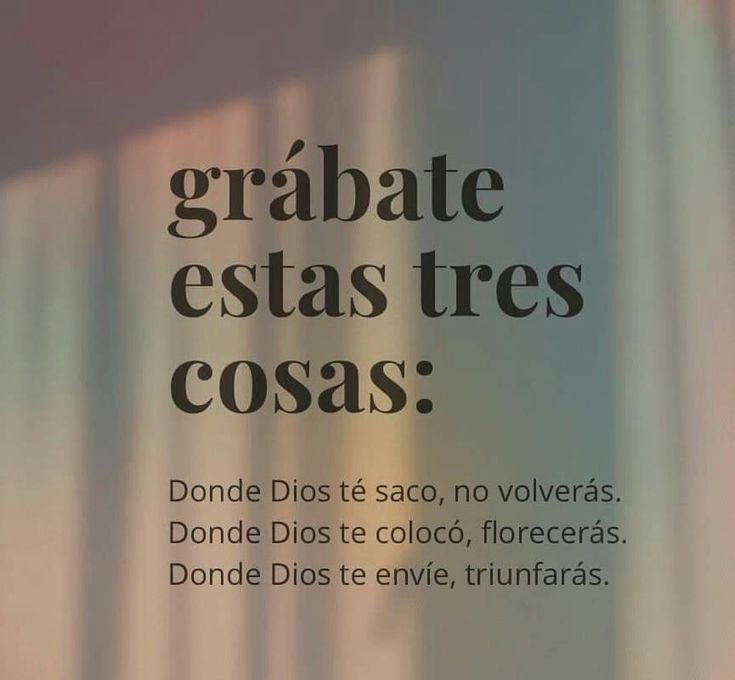gonzabrizuela96's tweet photo. https://t.co/eTvHM9FtAh