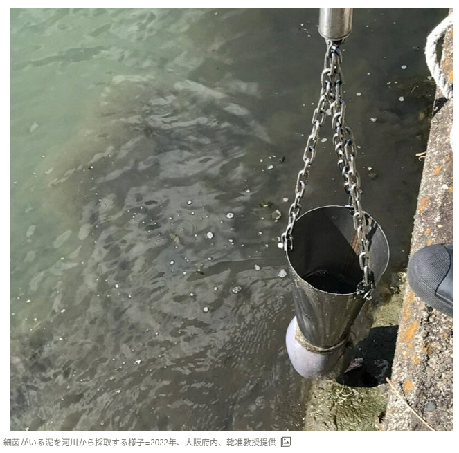 STansuke's tweet photo. 《「永遠の化学物質」PFASを除去する細菌を発見》神戸大

やはり鍵はバクテリア
PFASで汚染された大阪府内の河川の底質（泥）から、7種類の細菌を単離、これらの細菌にPFAS除去能力があることが判明した。

主なメカニズムは細菌細胞表面への吸着で、活性炭吸着など既存の物理的除去法に近い。
産業廃棄物最終処分場の浸出水を使った試験では、複数のPFASを低減し、特にPFHxSで最大97%の除去を確認した。
https://t.co/xqPJl0bP8i