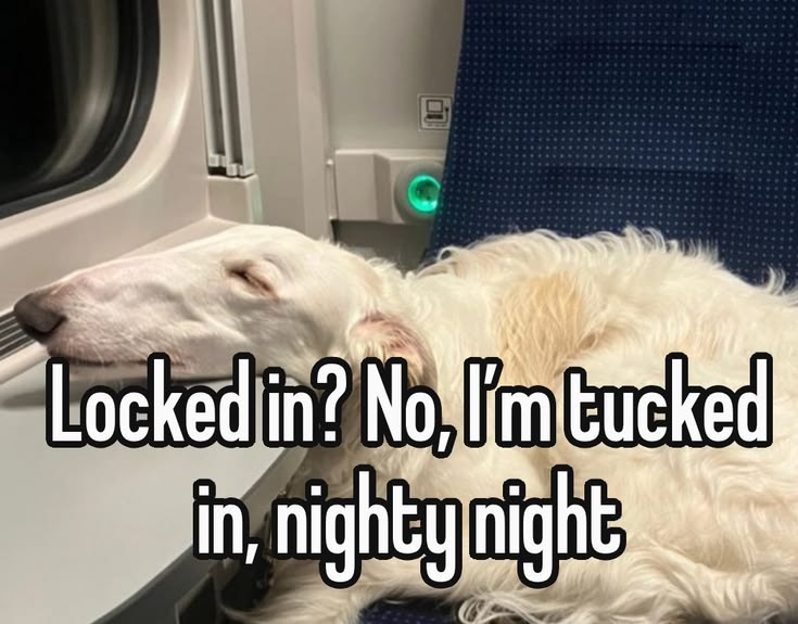 VisibleMortal's tweet photo. pulled an allnighter workign zzzzz https://t.co/A32mEu6P56