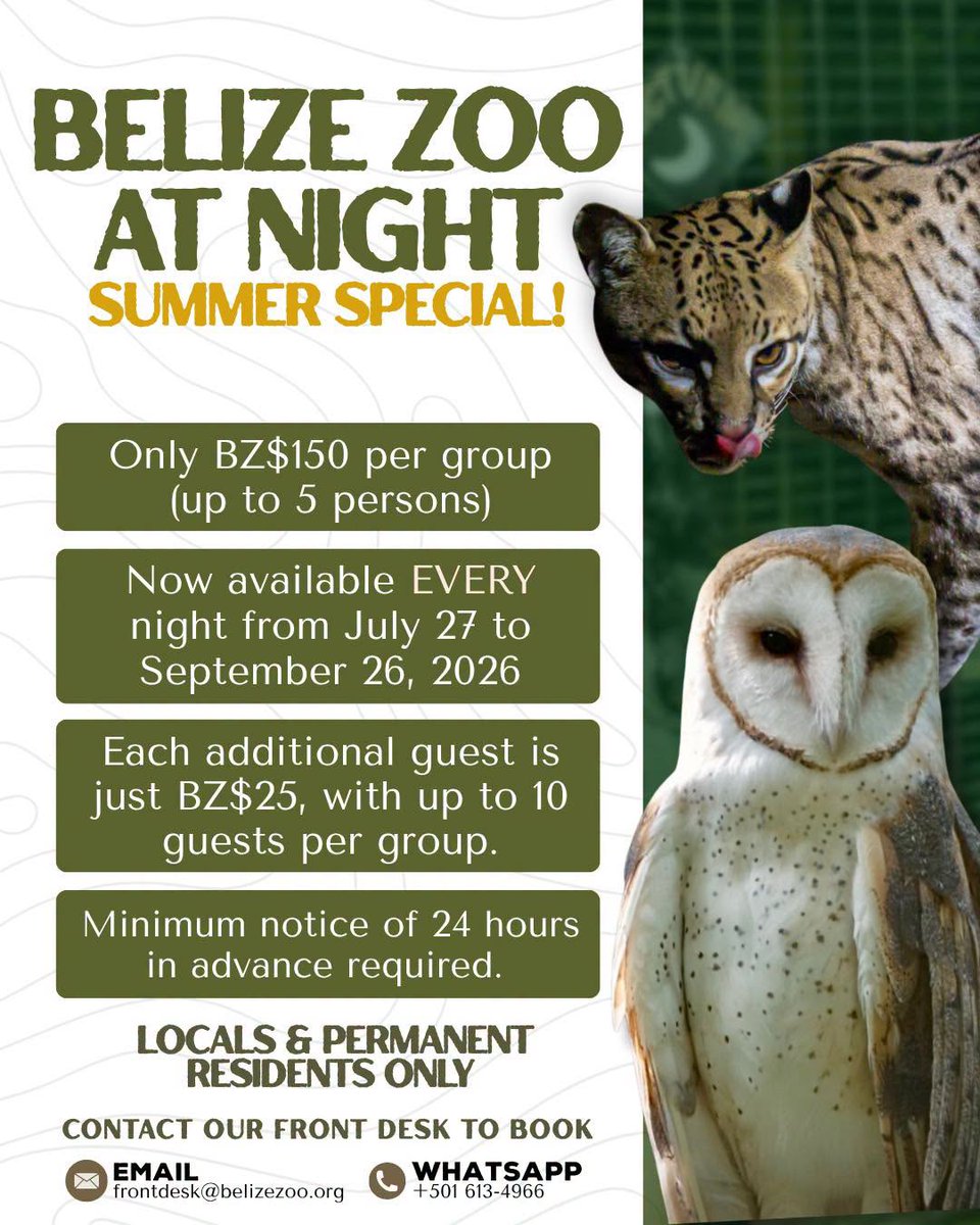 ZooBelize's tweet photo. We’re so excited to welcome Belizeans and residents over the coming months for an unforgettable night at the Zoo.
Now available EVERY NIGHT from July 27 – September 26, 2026! Yes… EVERY NIGHT!
Email frontdesk@belizezoo.org or WhatsApp 613-4966 to book your adventure. https://t.co/FQTMYXWjZe