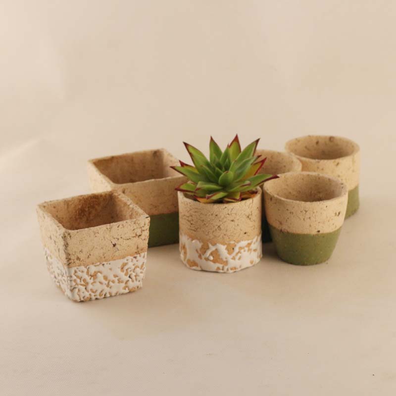 EmeraldHeyqi's tweet photo. [Handmade clay plant pot just done!  Customized with tiny flower imprints, makes any windowsill pop. Who’s trying this easy craft #DIYHandmade]， https://t.co/klNXeIBoOx