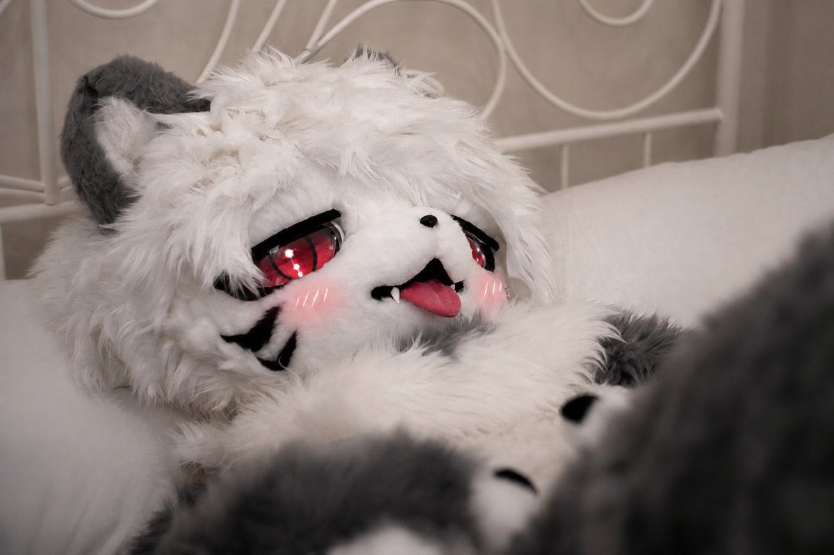 halfcat0715's tweet photo. ねぇ……
前と後ろ、どっちが好き？
あなたが望むなら……
なんでもしてあげる♥️
📸 @snepman3276 https://t.co/vkP9EFV8jO