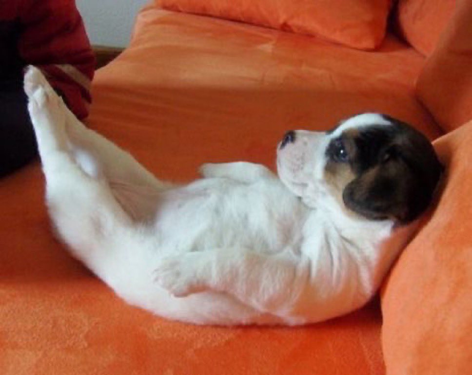 peformigando's tweet photo. seeu posso ser franca ando vivendo tao no automatico que as vezes me esqueco de todas as mudancas de março pra ca e parece que nada eh real . me mudei e agora minha casa eh outra, c outras pessoas e tantos outros detalhes tao diferentes de tudo q sempre se pareceu c casa pra mim https://t.co/1MnAg8fhXK