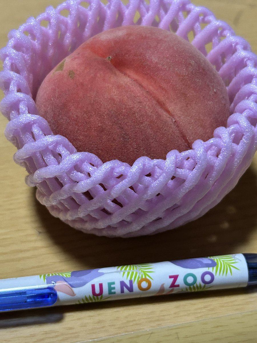 mic22ninja's tweet photo. 先日の日光旅行で桃狩りしたんだけど
まどかって小ぶりの桃がこんなに赤いのに実がまだ硬いの。熟す前にフライング気味に赤くなるおっちょこちょいだそうです。硬い桃好きなので私は好き！
天然氷のかき氷はいちごガッツリのシロップで美味しかった🍓 https://t.co/ZdGBL17jhG