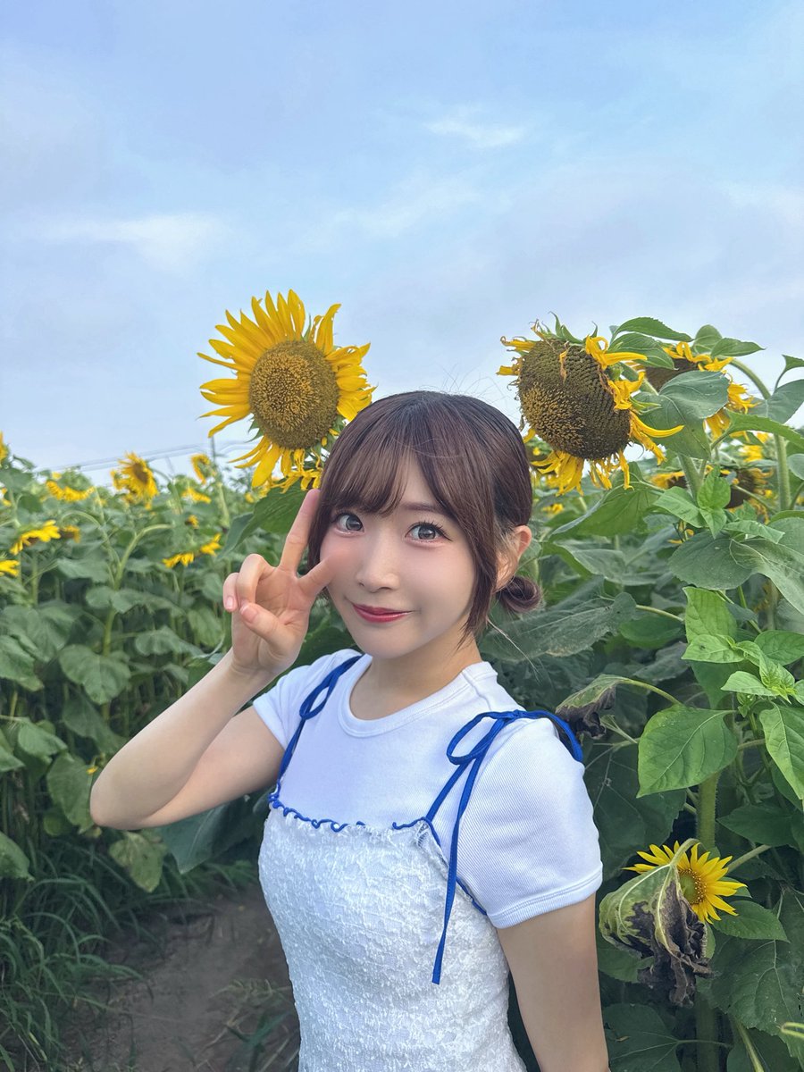 yurimaru_japan's tweet photo. 午後もがんばろうね🌻♡

#12時14分ゆり丸タイム 
#ゆり丸 #Yurimaru https://t.co/DYmbpAQVwx
