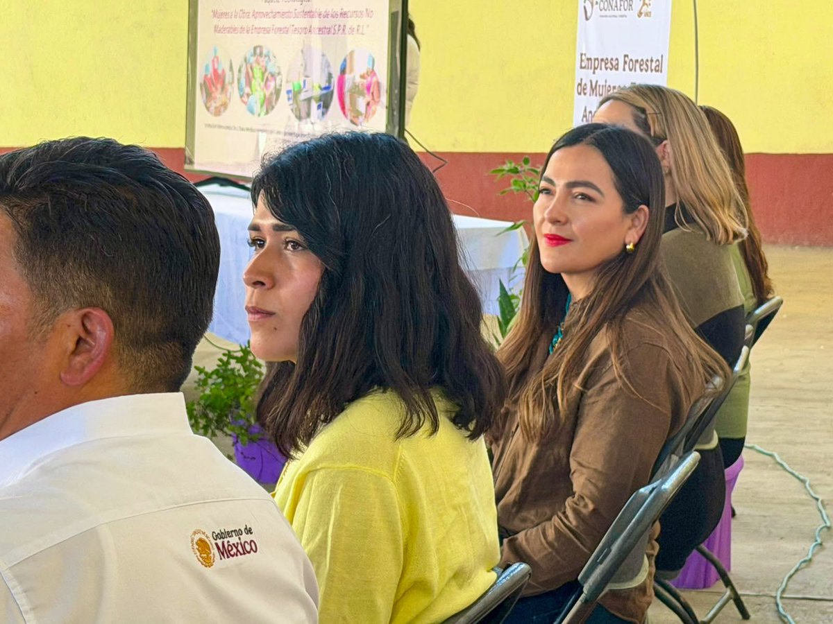 SMET_Tlaxcala's tweet photo. Acompañamos al Municipio de Tlaxco, a la inauguración de *Tesoro Ancestral*, una empresa forestal integrada por mujeres de Lagunilla.🌱🪴
Gracias Diana Torrejón Rodríguez por la sinergia en beneficio de las mujeres.
¡Enhorabuena por este gran logro! 🌱💚
#MujeresQueTransforman https://t.co/gYGeOHvdB3