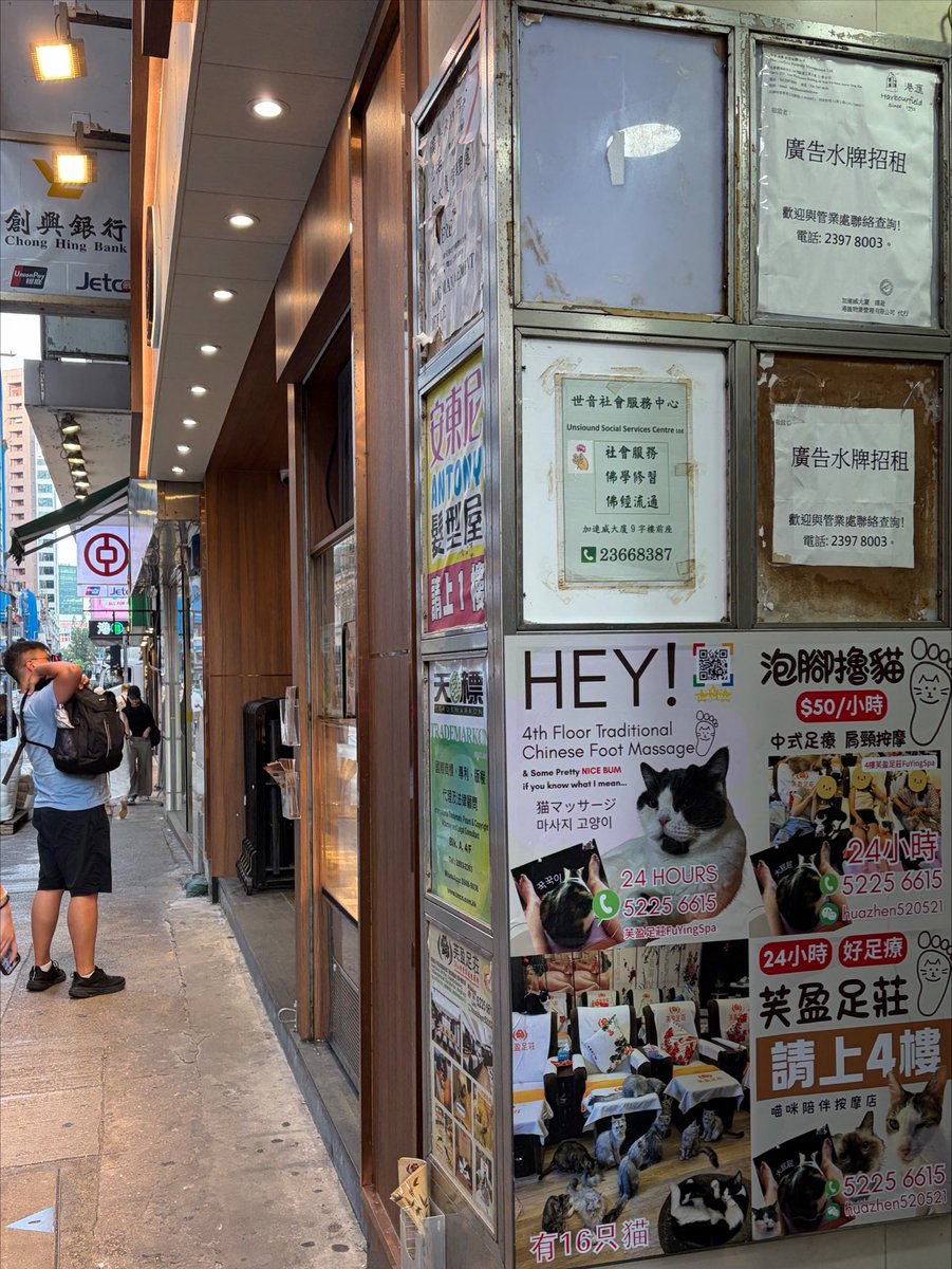 pyan0420's tweet photo. 🇭🇰これは猫好きにとって世界最高のマッサージ屋さん🐈‍⬛
猫カフェにいながらにして本格マッサージが楽しめるのみならず、たまに猫もマッサージしてくれます🐈
夏休み香港に行く方はぜひご検討を🐈‍⬛🐈

Fu Ying Massage 芙盈足莊
https://t.co/XlMsws6tCV
尖沙咀駅徒歩3分、イオンが入ってるThe ONEの近く https://t.co/NBIMlR0cZ3