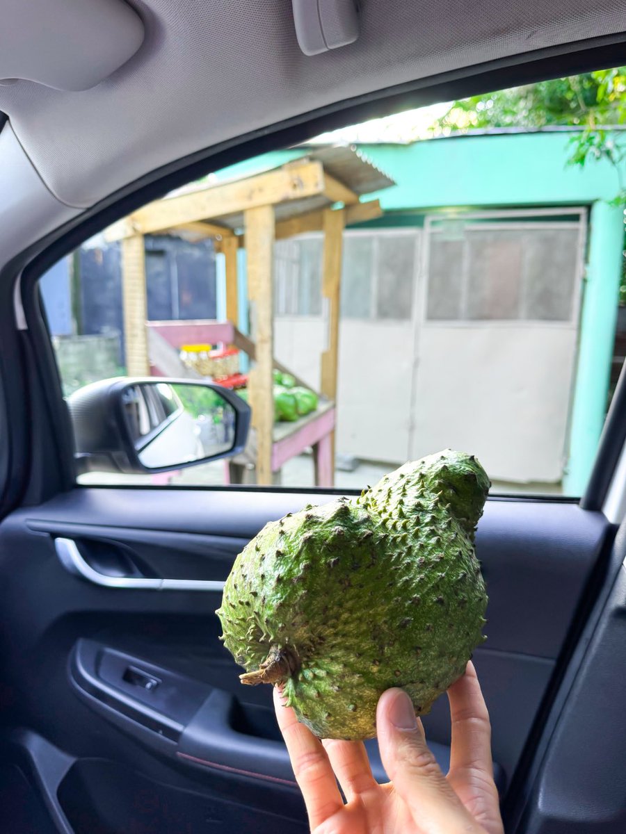 mrmiamiwellness's tweet photo. life in the tropics — always a blast visiting the fatherland, the only country in the entire world with the #HolyBible still on its flag, the DR has it all, Godspeed! @godomrep 🦁☀️🐠🇩🇴🍍🏝️🥥🐆 https://t.co/3tErnYQszH