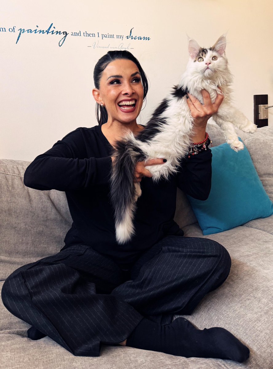 DalilahPolanco's tweet photo. El mes a mes de aquel “pequeñito” que llegó a mi vida a este gigante que hoy llena mi casa y mi corazón. 🐾💜 Feliz primer cumpleaños, PaCha. Gracias por tanto amor. ✨🐱 

Tooooodas las fotos las pueden ver en Instagram 😉

#ChingazoDeBesos 💜 #ChingazoDeAmor https://t.co/h7fFY7Z9co