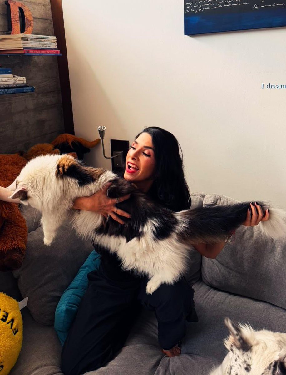 DalilahPolanco's tweet photo. El mes a mes de aquel “pequeñito” que llegó a mi vida a este gigante que hoy llena mi casa y mi corazón. 🐾💜 Feliz primer cumpleaños, PaCha. Gracias por tanto amor. ✨🐱 

Tooooodas las fotos las pueden ver en Instagram 😉

#ChingazoDeBesos 💜 #ChingazoDeAmor https://t.co/h7fFY7Z9co