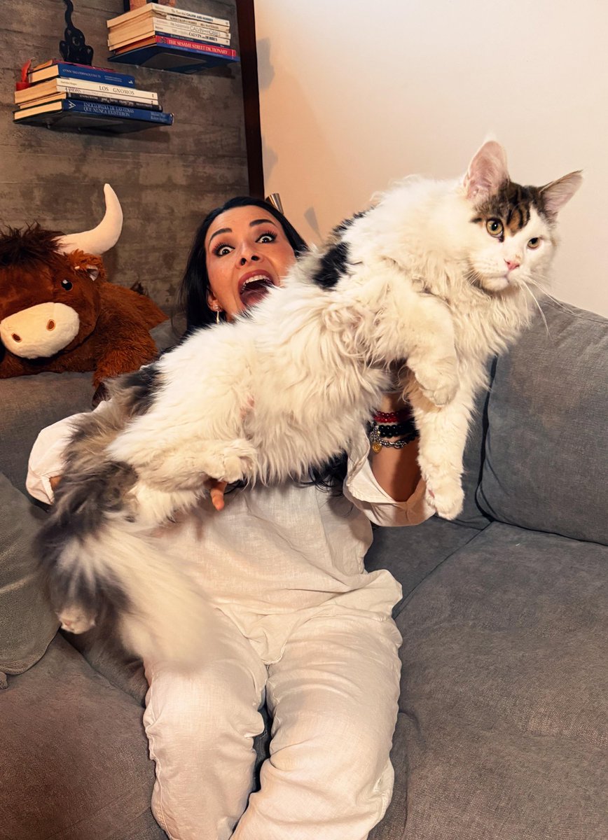 DalilahPolanco's tweet photo. El mes a mes de aquel “pequeñito” que llegó a mi vida a este gigante que hoy llena mi casa y mi corazón. 🐾💜 Feliz primer cumpleaños, PaCha. Gracias por tanto amor. ✨🐱 

Tooooodas las fotos las pueden ver en Instagram 😉

#ChingazoDeBesos 💜 #ChingazoDeAmor https://t.co/h7fFY7Z9co