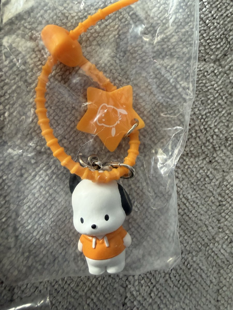 __ayn8's tweet photo. 【サンリオキャラクターズ　ななほしカラフルマルチチャーム】

譲　ポチャッコ

求　クロミ

郵送での交換希望 https://t.co/RJu20NSoJ9