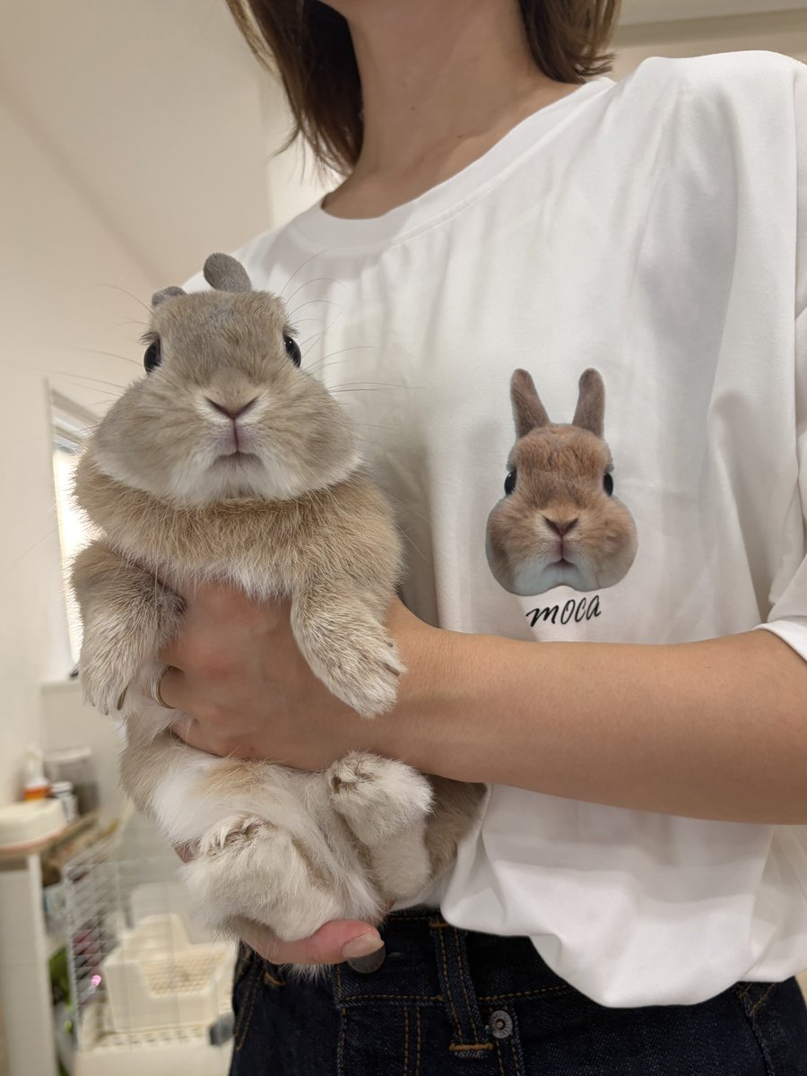 Maison Usagi 2026 A/W Collection ペアルック対応（非売品）