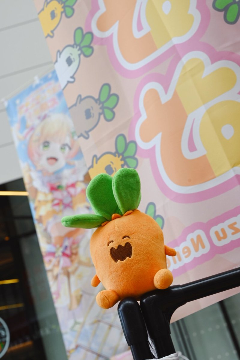 bmt_photo's tweet photo. 🧡🧡🧡 #ねね超開花 https://t.co/ZAV4jS4S4M