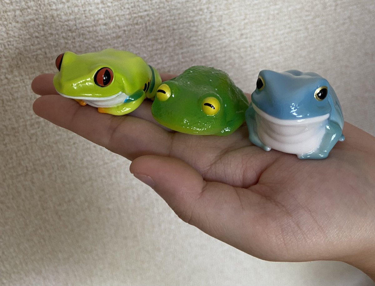 yako_2434's tweet photo. 可愛すぎるカエル🐸たちwith昆虫🐜 https://t.co/TwVptjT8wO