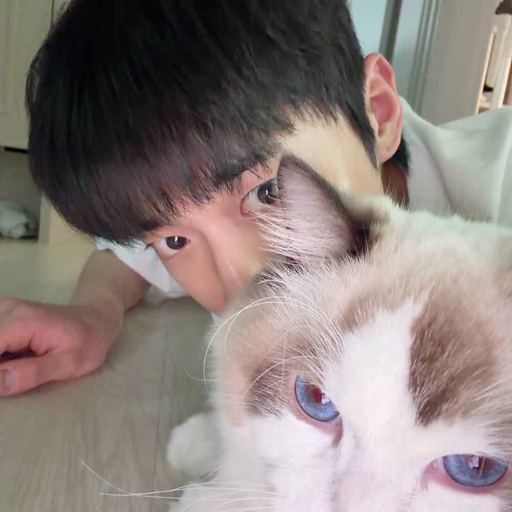 joooooncat's tweet photo. 룸메(고양이) 날 맨날 괴롭힘 https://t.co/e25nFcGS6d