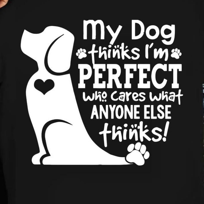 OnlyFurandPaws1's tweet photo. My dogs holds the best parts of me in their ❤️🐕
#dogs https://t.co/fXI4cUI8Dz