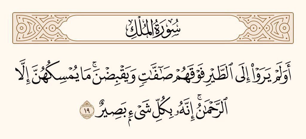 UTQuran's tweet photo. اور کیا انہوں نے پرندوں کو اپنے اُوپر نظر اُٹھا کر نہیں دیکھا ک�� وہ پَروں کو پھیلائے ہوئے ہوتے ہیں، اور سمیٹ بھی لیتے ہیں۔ اُن کو خدائے رحمن کے سوا کوئی تھامے ہوئے نہیں ہے۔ یقینا وہ ہر چیز کی خوب دیکھ بھال کرنے والا ہے۔
سورۃ الملک https://t.co/I3l98ki9rY