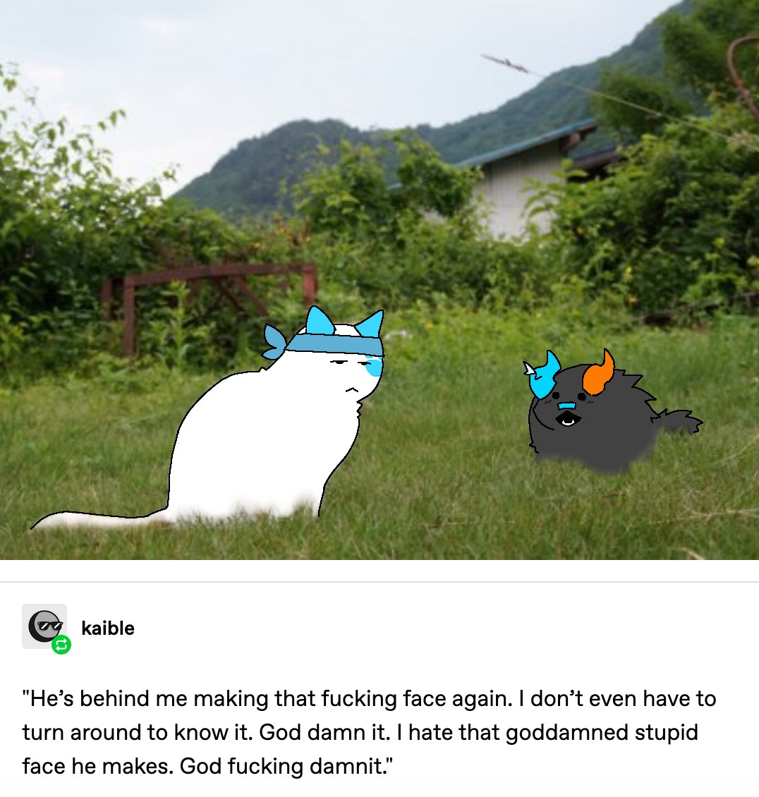 Contentshuriken's tweet photo. day three of terribly drawing slingshot over cat images i find

ft coil https://t.co/QE3c3vdLhK