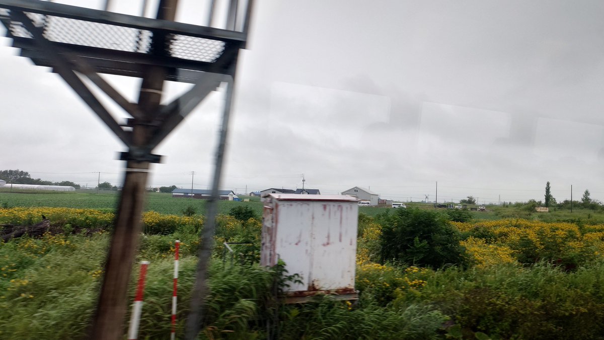 Sunshineikemen's tweet photo. そして列車は岩見沢、滝川、深川など特急ライラック等と同じ停車駅に停まる。滝川駅でロイヤルエクスプレスに遭遇した事と、留萠本線が廃止となった深川駅が印象に残っている。ロイヤルエクスプレスは実物を見たのは初めてだ。そして深川駅は廃線前に留萠本線に乗った記憶が蘇ってきた。 https://t.co/JhiucU6PAm