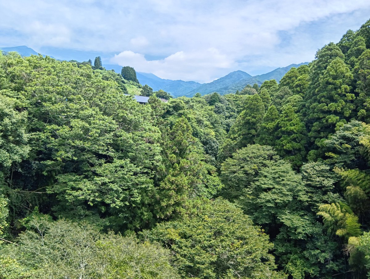 manabucy's tweet photo. 高千穂峡は安全の為に閉鎖中ですが、天岩戸は問題なく観光出来ます！
心配せずに、九州に観光来て下さい！
#熊本地震
#観光来て大丈夫です九州 
#イマソラ 宮崎・高千穂 https://t.co/EdeLTYugVh