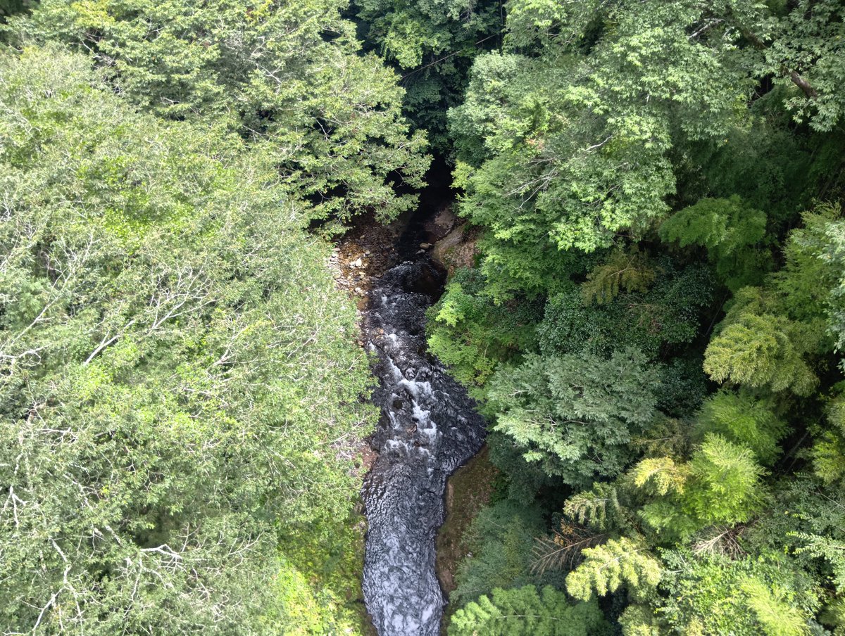 manabucy's tweet photo. 高千穂峡は安全の為に閉鎖中ですが、天岩戸は問題なく観光出来ます！
心配せずに、九州に観光来て下さい！
#熊本地震
#観光来て大丈夫です九州 
#イマソラ 宮崎・高千穂 https://t.co/EdeLTYugVh