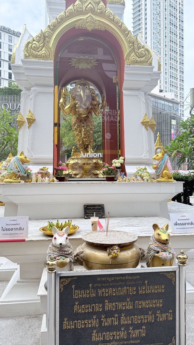 hiijujoo's tweet photo. ที่เดียวไม่น่าพอขอให้สมหวังทุกคนที่เห็นสาธุ🙏 https://t.co/iLTqJzhD1A